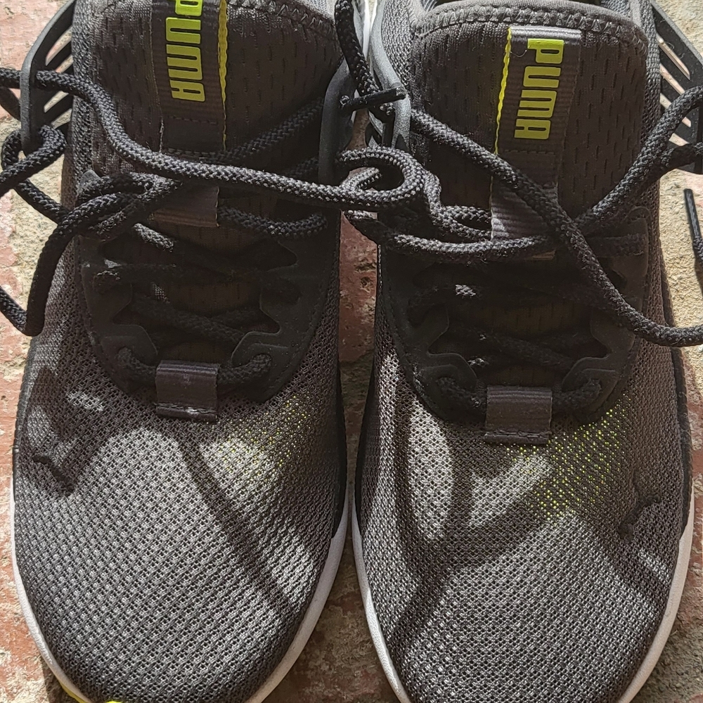Puma